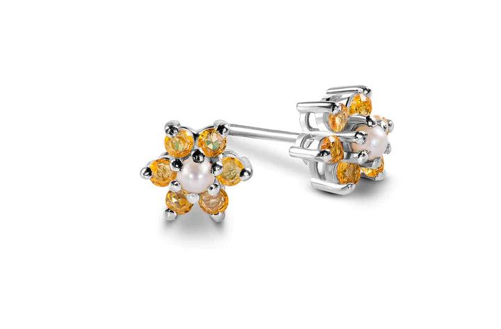 𝐍𝐀𝐓𝐔𝐑𝐄'𝐒 𝐒𝐏𝐋𝐄𝐍𝐃𝐎𝐑 𝐄𝐀𝐑𝐑𝐈𝐍𝐆𝐒 - 𝟗𝟐𝟓 𝐒𝐈𝐋𝐕𝐄𝐑